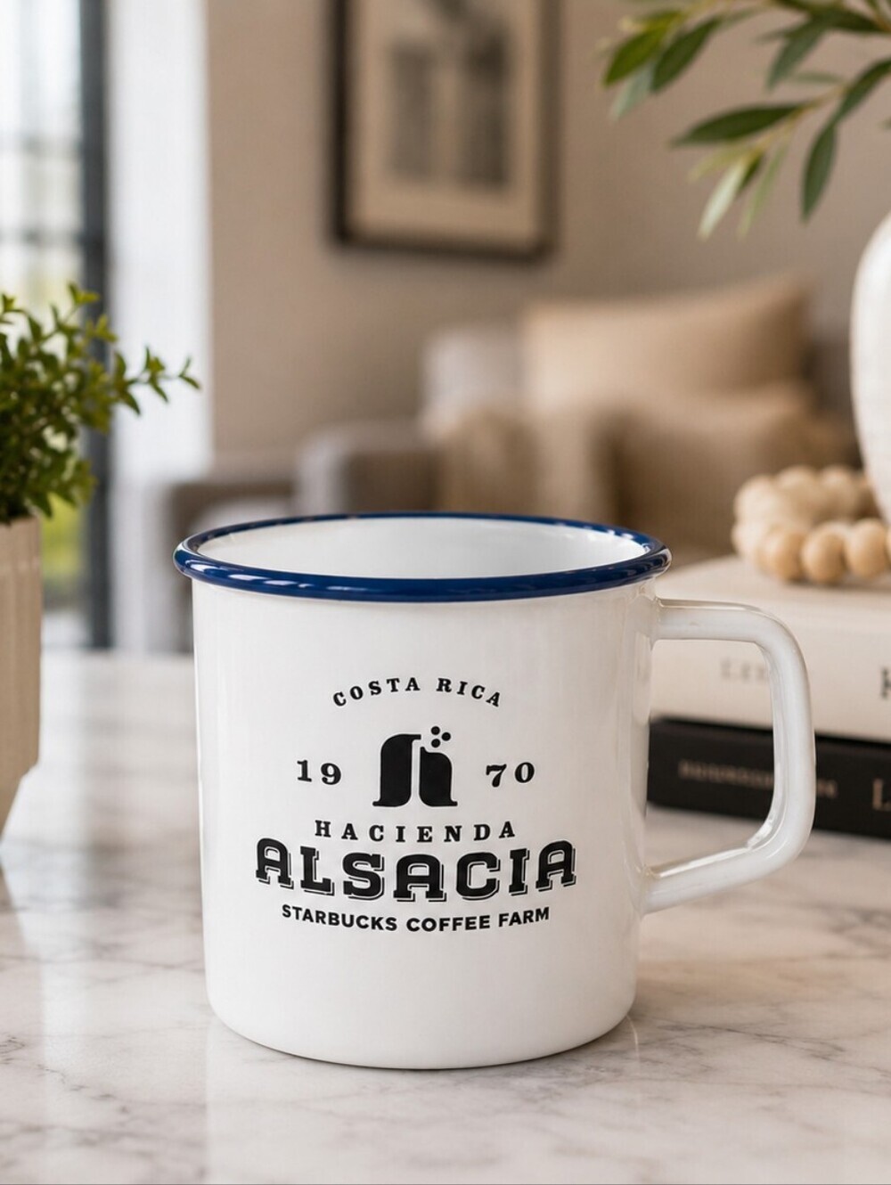 Starbucks Hacienda Alsacia Costa Rica Coffee Mug Blue Rim 14oz